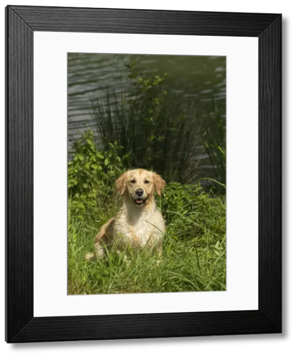 Framed Print : Picture No. 10984797 Framed Print : Picture No. 10984797