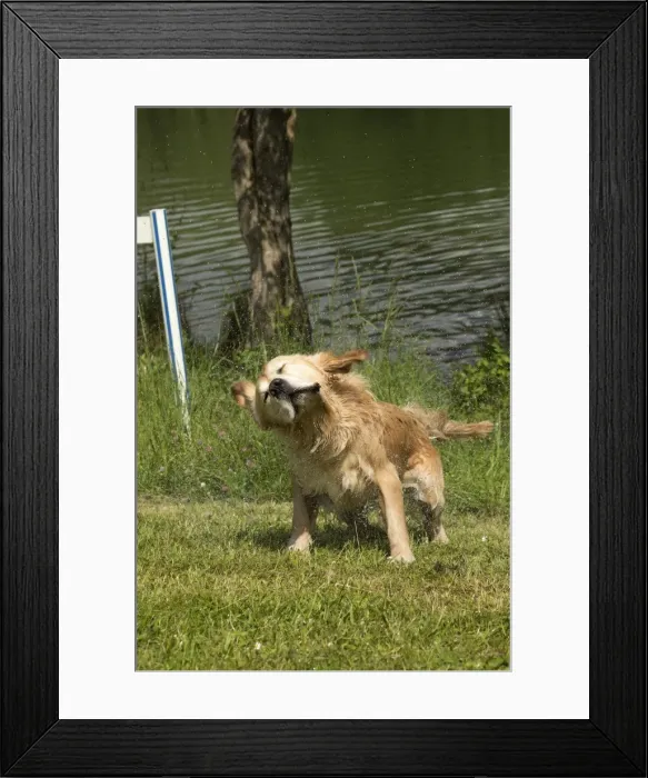 Framed Print : Picture No. 10984798 Framed Print : Picture No. 10984798