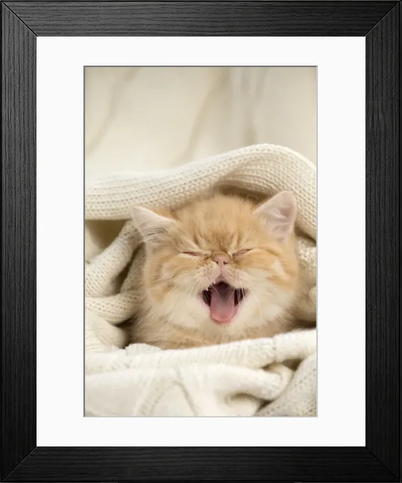 Framed Print : Picture No. 10984845 Framed Print : Picture No. 10984845