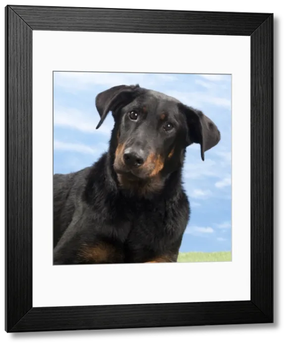 Framed Print : Picture No. 10897601 Framed Print : Picture No. 10897601
