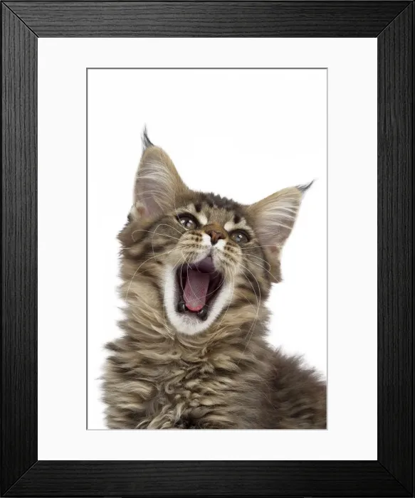 Framed Print : Picture No. 10897492 Framed Print : Picture No. 10897492