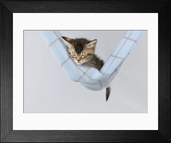 Framed Print : Picture No. 10897456 Framed Print : Picture No. 10897456