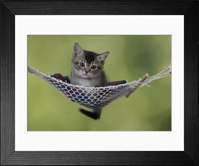 Framed Print : Picture No. 10897461 Framed Print : Picture No. 10897461