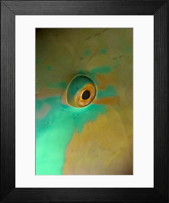 Framed Print : Picture No. 10890862 Framed Print : Picture No. 10890862