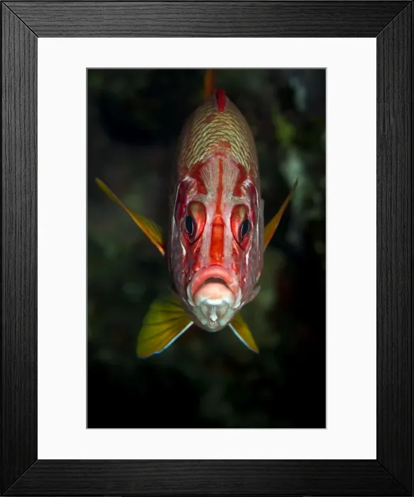Framed Print : Picture No. 10890869 Framed Print : Picture No. 10890869