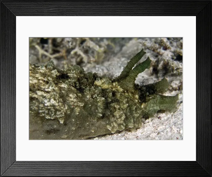 Framed Print : Picture No. 10890879 Framed Print : Picture No. 10890879