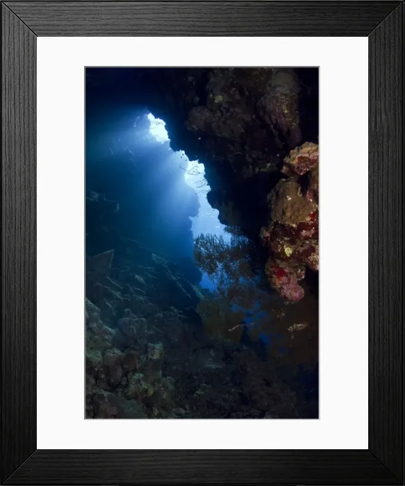 Framed Print : Picture No. 10890890 Framed Print : Picture No. 10890890