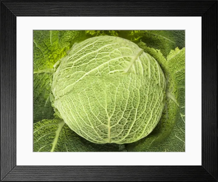 Framed Print : Picture No. 10890925 Framed Print : Picture No. 10890925