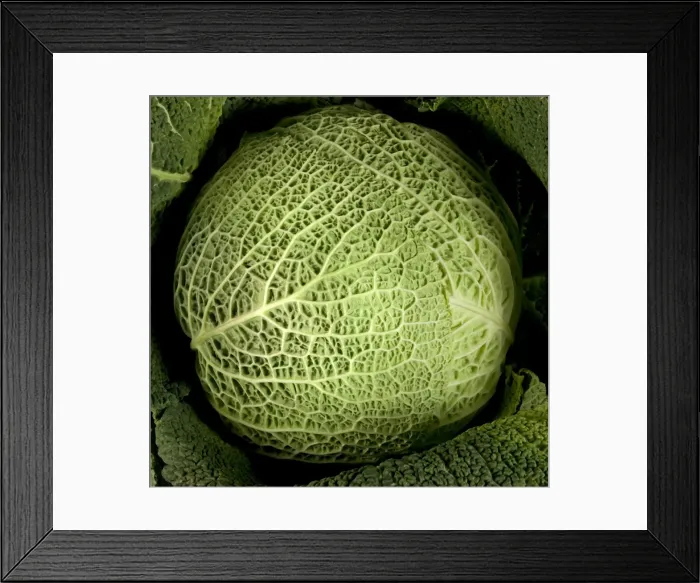 Framed Print : Picture No. 10890926 Framed Print : Picture No. 10890926