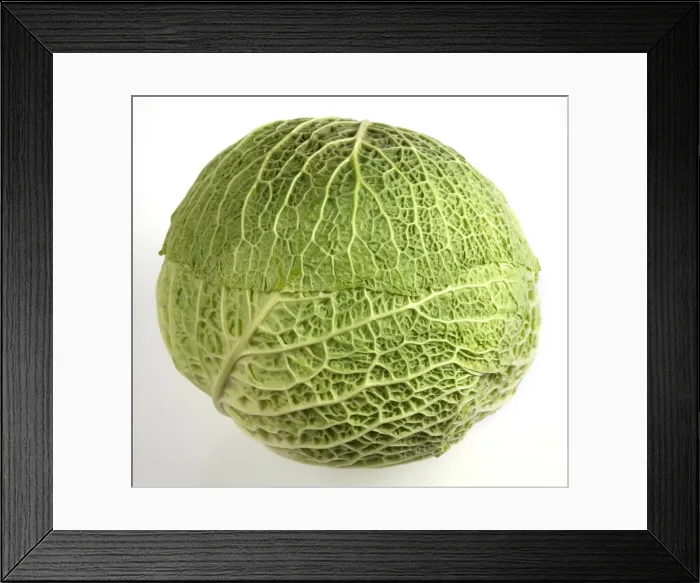 Framed Print : Picture No. 10890928 Framed Print : Picture No. 10890928
