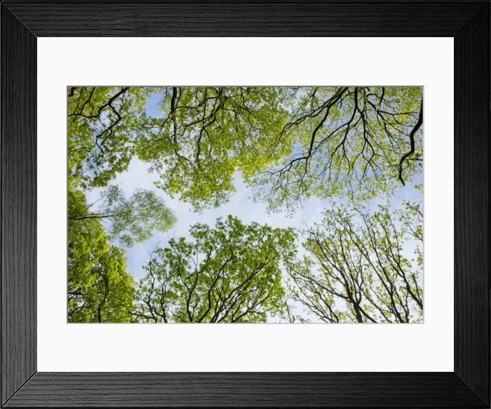 Framed Print : Picture No. 10891018 Framed Print : Picture No. 10891018