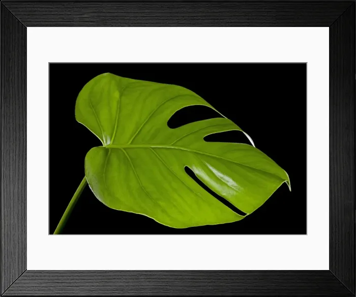 Framed Print : Picture No. 10891026 Framed Print : Picture No. 10891026