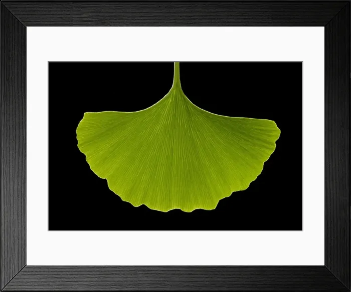 Framed Print : Picture No. 10891015 Framed Print : Picture No. 10891015