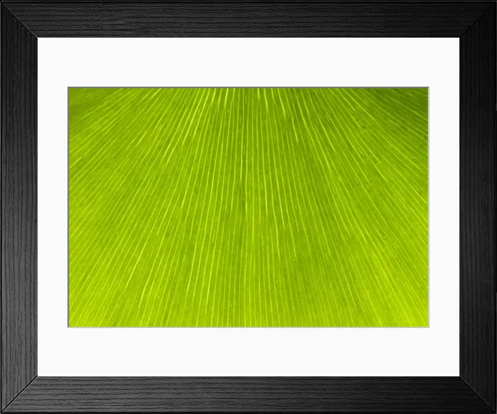 Framed Print : Picture No. 10891016 Framed Print : Picture No. 10891016