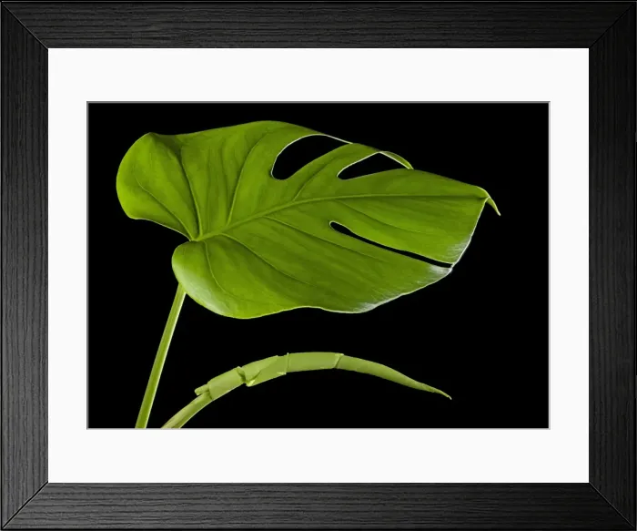 Framed Print : Picture No. 10891028 Framed Print : Picture No. 10891028