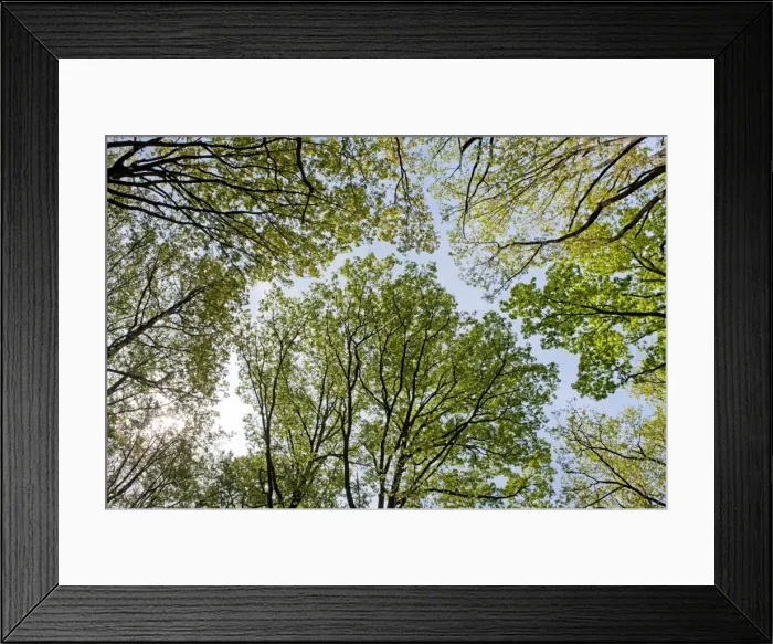 Framed Print : Picture No. 10891017 Framed Print : Picture No. 10891017