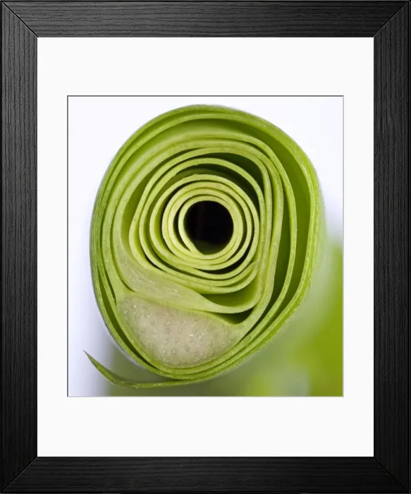 Framed Print : Picture No. 10891039