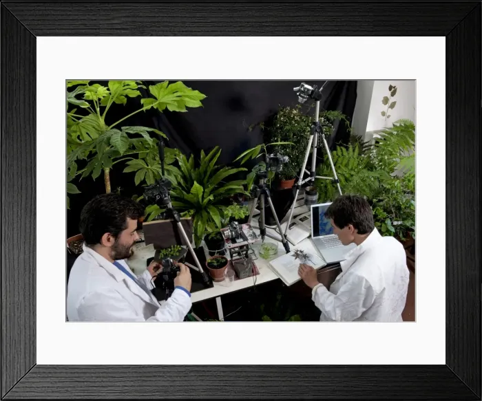Framed Print : Picture No. 10891055 Framed Print : Picture No. 10891055