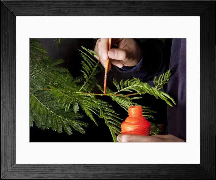 Framed Print : Picture No. 10891058 Framed Print : Picture No. 10891058