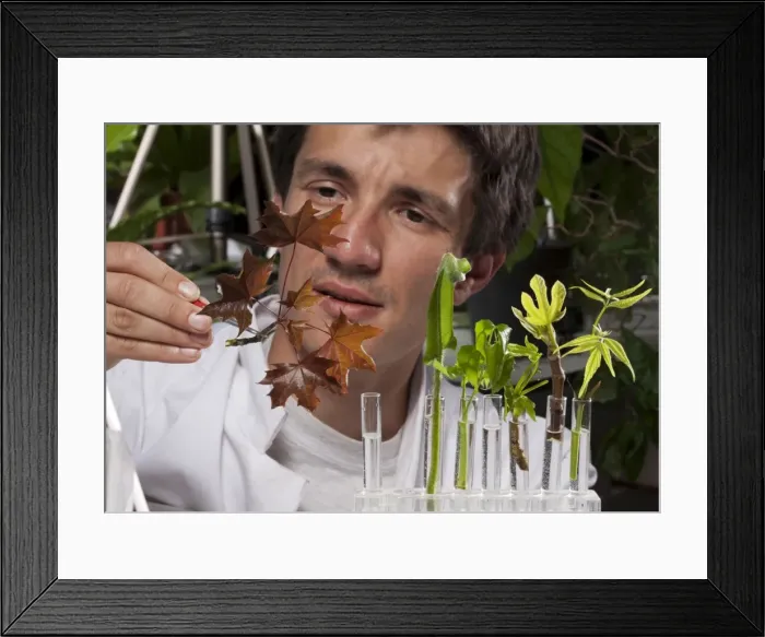 Framed Print : Picture No. 10891059 Framed Print : Picture No. 10891059