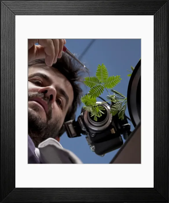 Framed Print : Picture No. 10891056 Framed Print : Picture No. 10891056