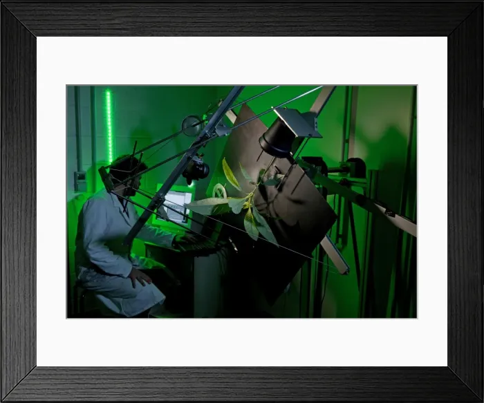 Framed Print : Picture No. 10891062 Framed Print : Picture No. 10891062