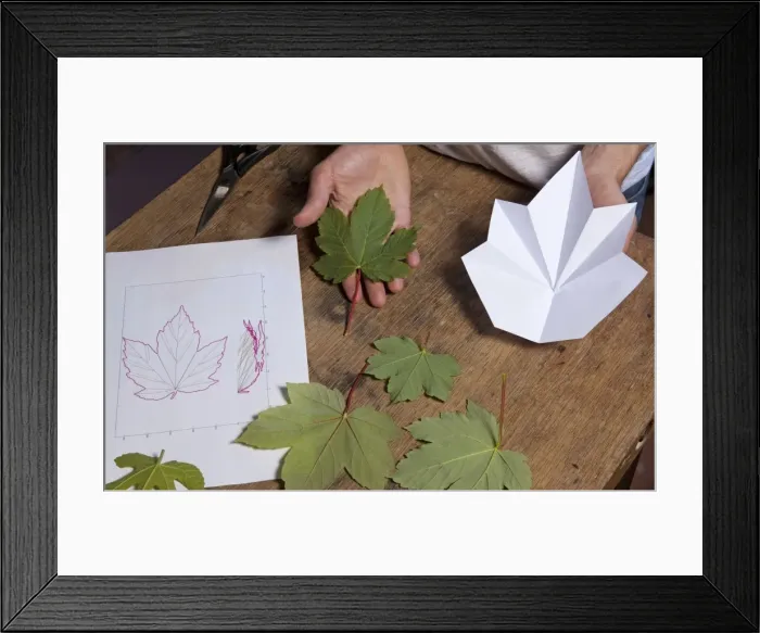 Framed Print : Picture No. 10891060 Framed Print : Picture No. 10891060
