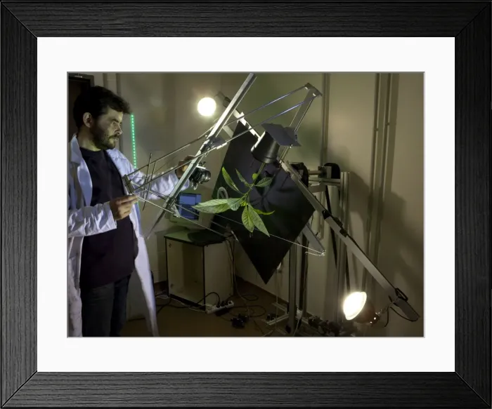 Framed Print : Picture No. 10891063 Framed Print : Picture No. 10891063