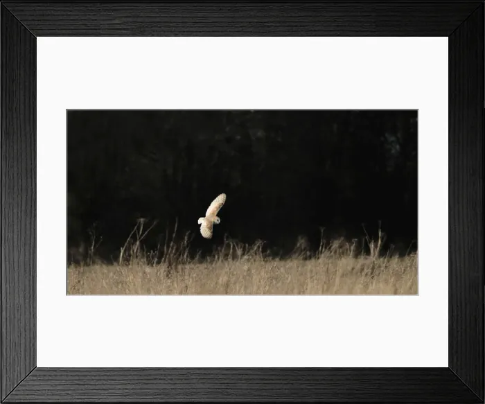 Framed Print : Picture No. 10891126 Framed Print : Picture No. 10891126