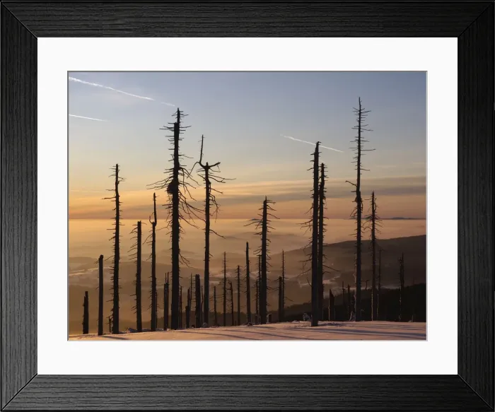 Framed Print : Picture No. 10891136 Framed Print : Picture No. 10891136
