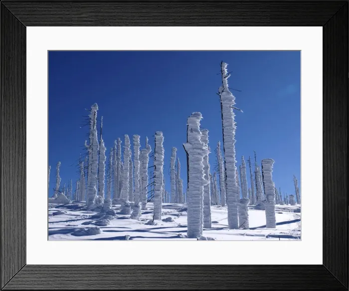 Framed Print : Picture No. 10891135 Framed Print : Picture No. 10891135