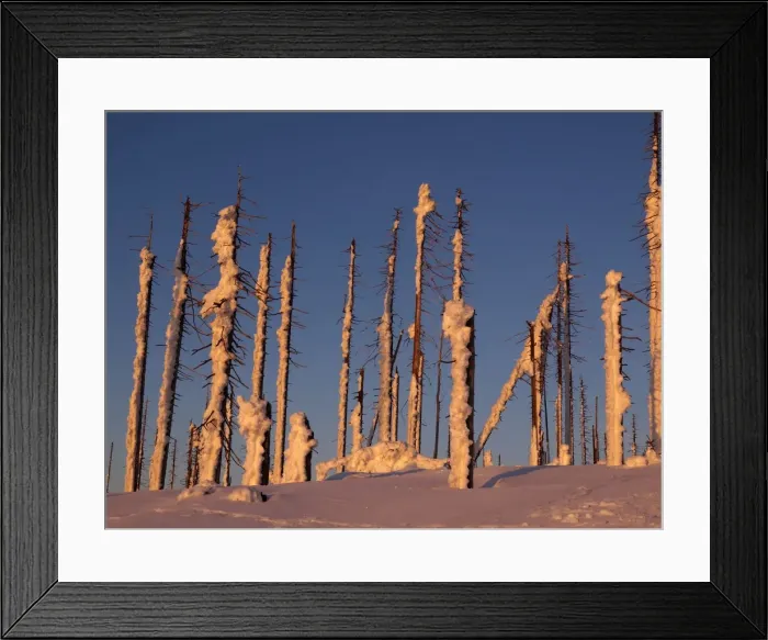 Framed Print : Picture No. 10891137 Framed Print : Picture No. 10891137