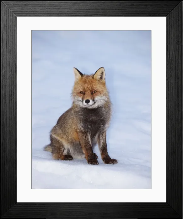 Framed Print : Picture No. 10891160 Framed Print : Picture No. 10891160