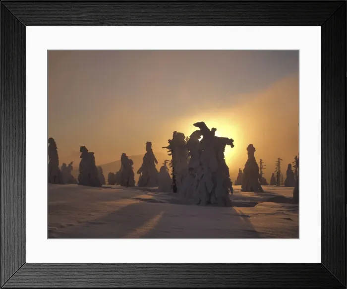 Framed Print : Picture No. 10891178 Framed Print : Picture No. 10891178