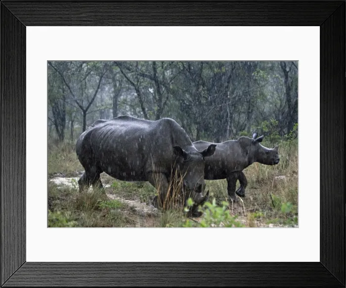 Framed Print : Picture No. 10891251 Framed Print : Picture No. 10891251
