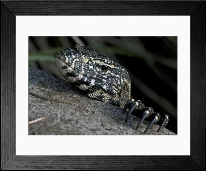 Framed Print : Picture No. 10891250 Framed Print : Picture No. 10891250