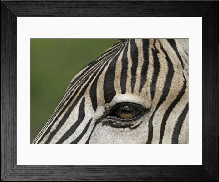 Framed Print : Picture No. 10891254 Framed Print : Picture No. 10891254