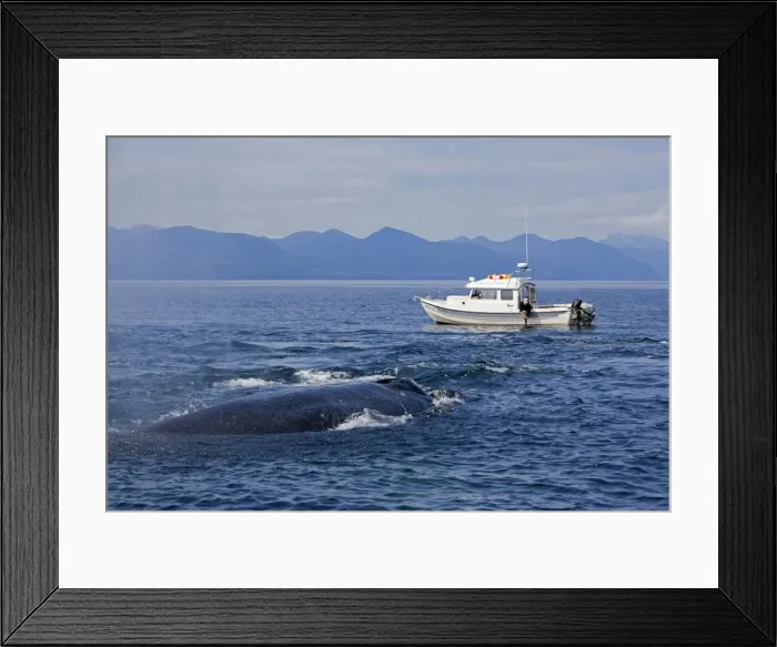Framed Print : Picture No. 10891274 Framed Print : Picture No. 10891274