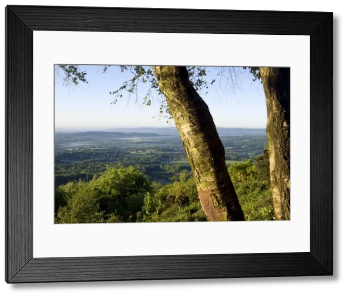 Framed Print : Picture No. 10891350 Framed Print : Picture No. 10891350
