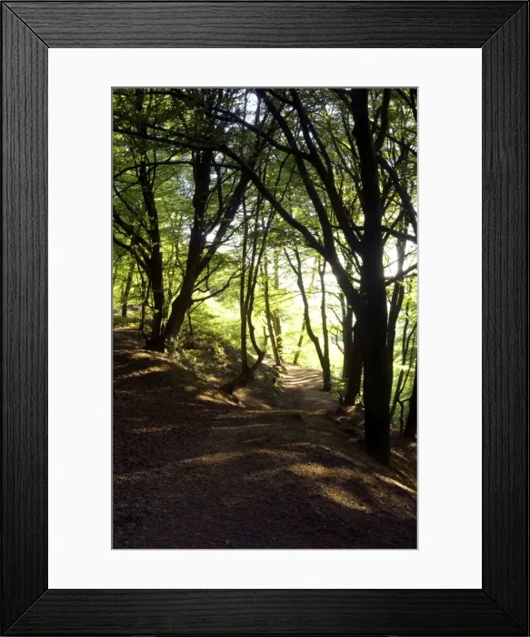 Framed Print : Picture No. 10891351