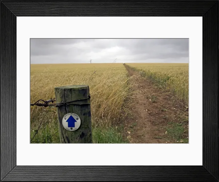 Framed Print : Picture No. 10891357 Framed Print : Picture No. 10891357