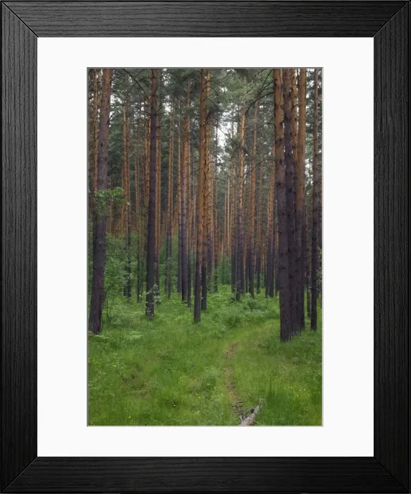 Framed Print : Picture No. 10891387 Framed Print : Picture No. 10891387