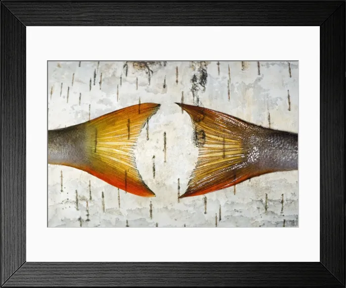 Framed Print : Picture No. 10891407 Framed Print : Picture No. 10891407