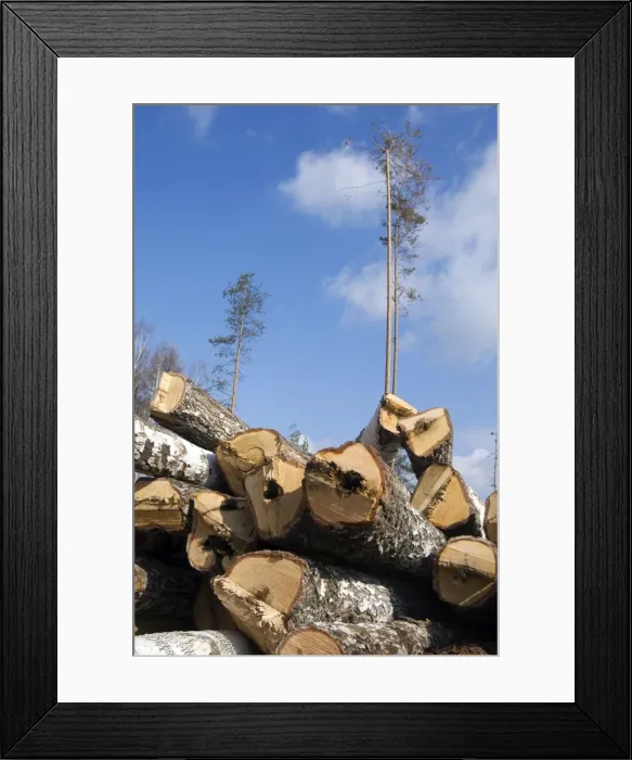 Framed Print : Picture No. 10891412 Framed Print : Picture No. 10891412