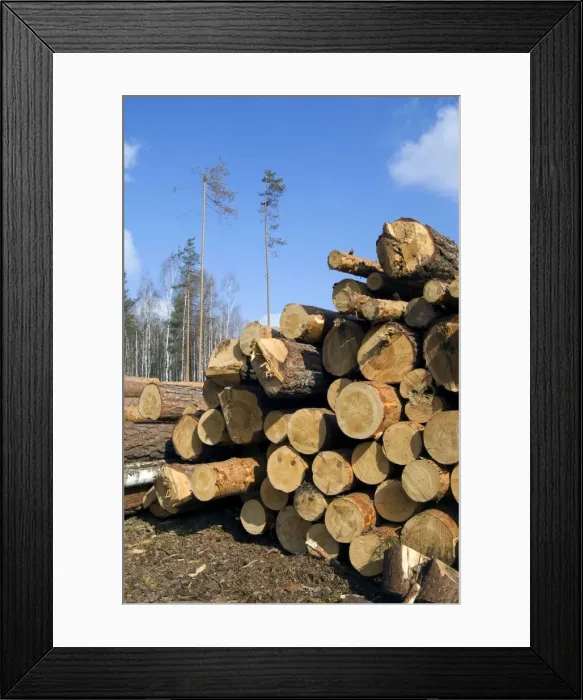 Framed Print : Picture No. 10891409 Framed Print : Picture No. 10891409