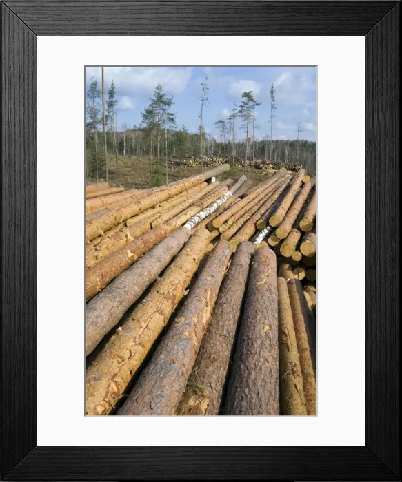Framed Print : Picture No. 10891413 Framed Print : Picture No. 10891413