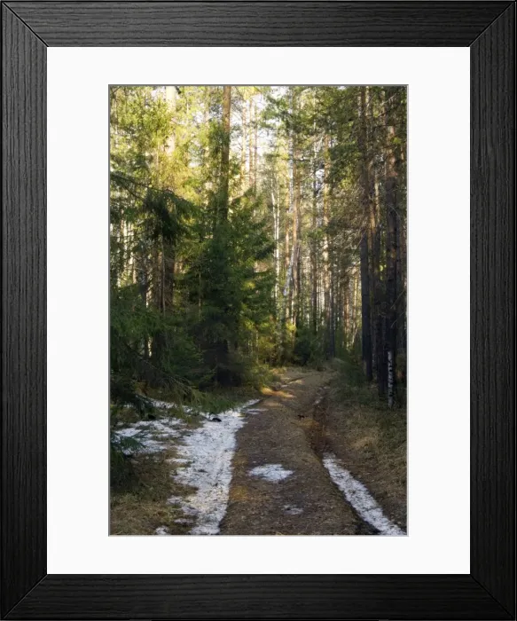 Framed Print : Picture No. 10891418 Framed Print : Picture No. 10891418