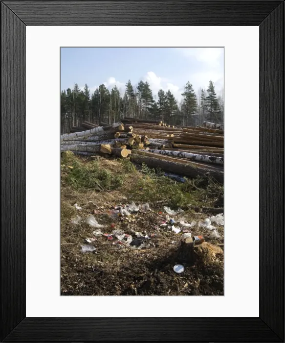 Framed Print : Picture No. 10891411 Framed Print : Picture No. 10891411