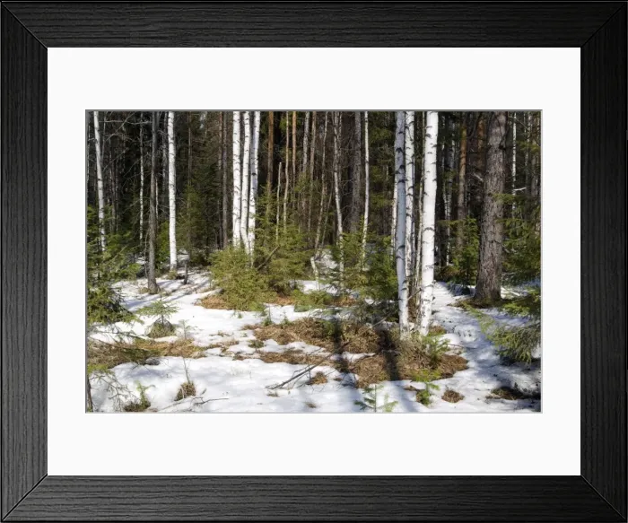 Framed Print : Picture No. 10891415 Framed Print : Picture No. 10891415