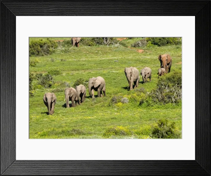 Framed Print : Picture No. 10891457 Framed Print : Picture No. 10891457